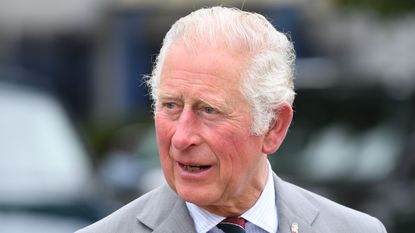 Prince Charles, Prince of Wales, President of The Prince’s Trust meets staff and young people involved in the ‘Launched in Lockdown’ Programme