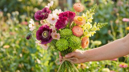 bouquet of homegrown cut flowers in a sunny garden
