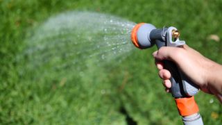 A hose held in a hand spraying water onto the grass