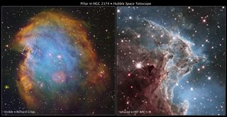 This graphic shows the location of the infrared image from the Hubble Space Telescope in a wider view of the region of NGC 2174. On the left is a ground-based image of the star-forming nebula in visible light by an amateur astrophotographer, with an outline showing the area of the detailed Hubble image. On the right is a small detail of a star-forming column in the nebula, made by Hubble's WFC3 infrared camera.
