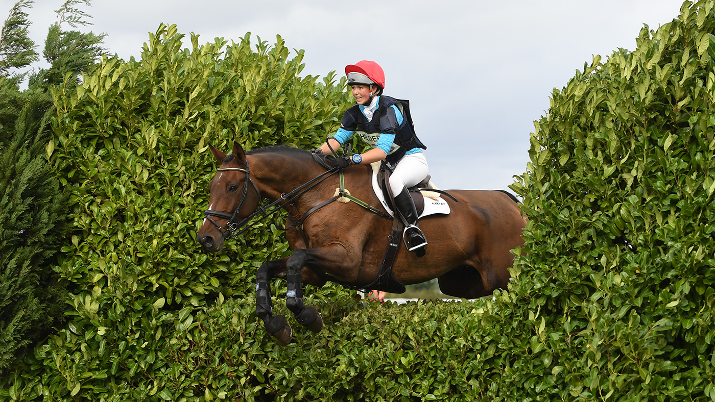 eventing breastplate