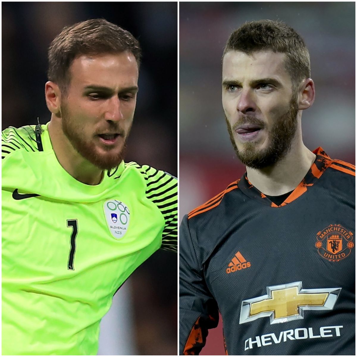 Jan Oblak and David De Gea