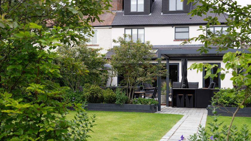 garden with lush green planting and outdoor seating area in front of modern white house
