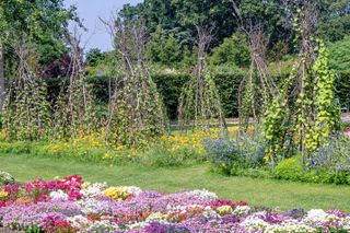 A flower garden with floral teepee features