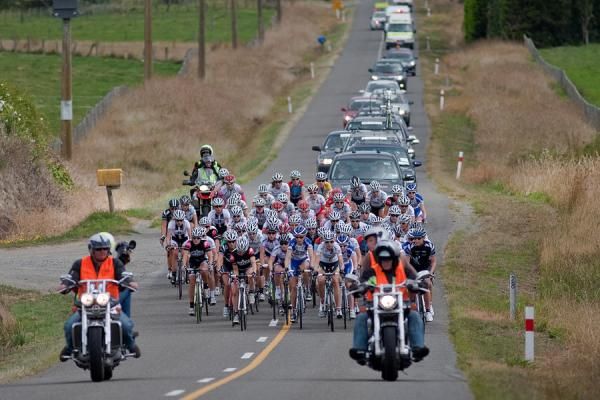 The peloton rolls through the Manawatu.