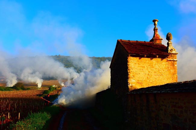 2017 C&ocirc;te de Nuits en primeur