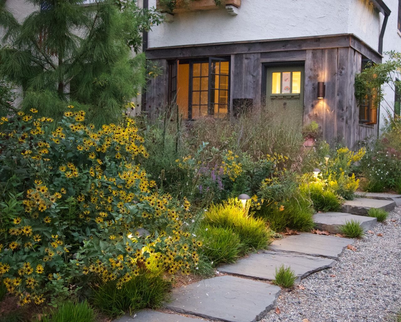 front garden with informal tall yellow flowers and a stone pathway