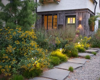 front garden with informal tall yellow flowers and a stone pathway