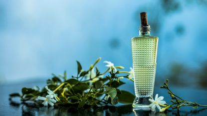 jasmine flowers and perfume bottle