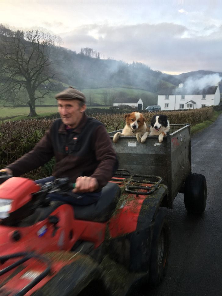 'Dogs at Work' category winner: Dorine Scherpel, Canada
