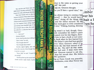 A side by side comparison of a large print book vs. a traditional print book.