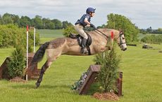 6631fHorseHoundWebRequest.jpg