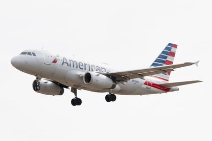 American Airlines flight