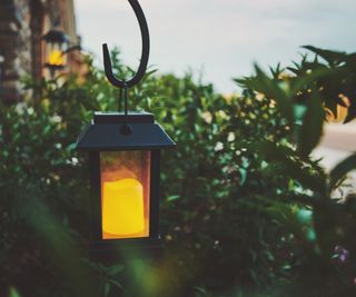 Hanging solar light in dark foliage