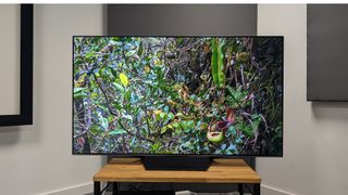 Hisense U7N (65U7N) mini LED TV on wooden AV rack with jungle foliage on screen