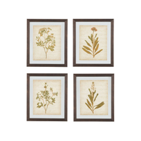 Dyani Wall Art (Set of 4) | Was $209.99, now $116.99