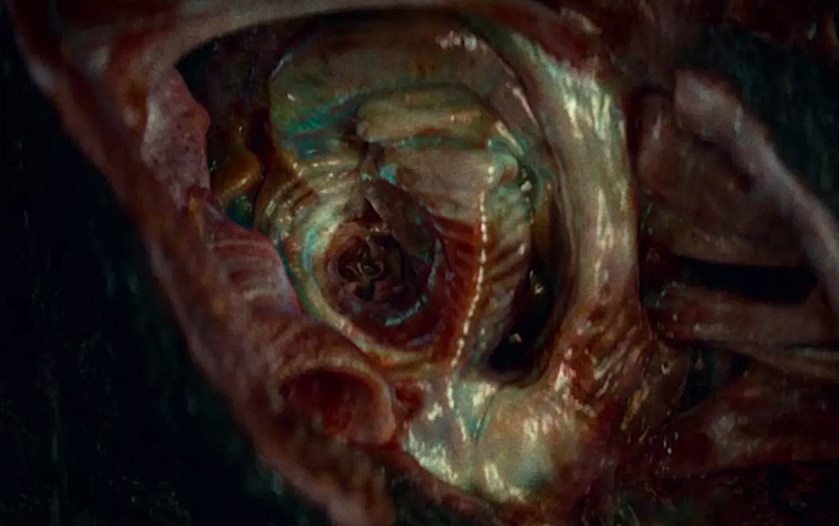 a freaky look inside an alien's inner ear