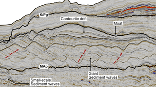 Diagram of the mud waves found in the sediment.