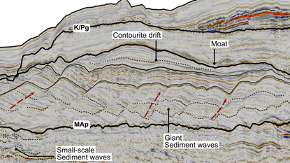 Diagram of the mud waves found in the sediment.