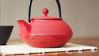 The Exotic Teapot cast iron teapots