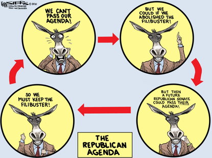 The Democratic cycle