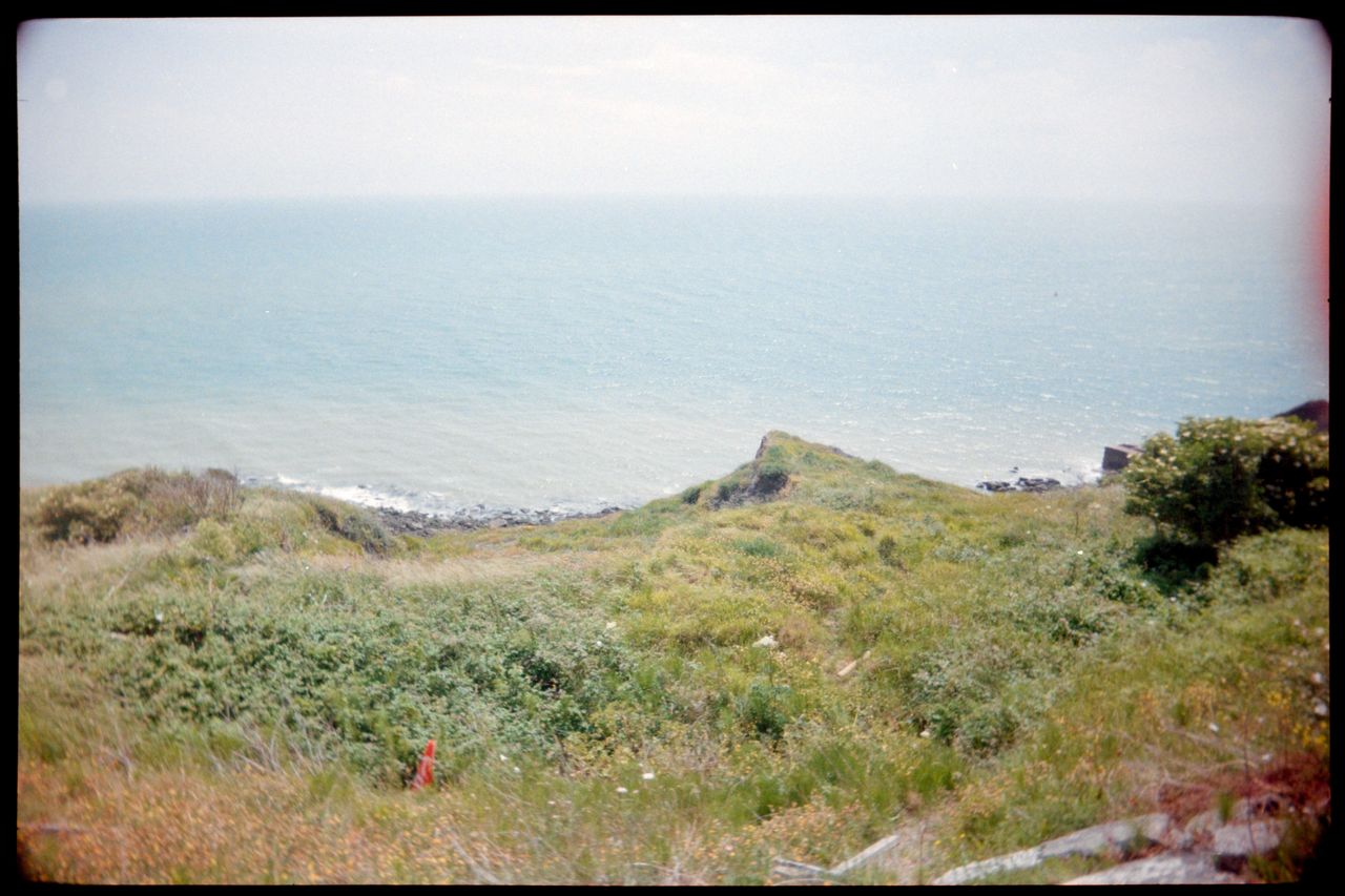 Cliff edge covered in grass with the ocean behind