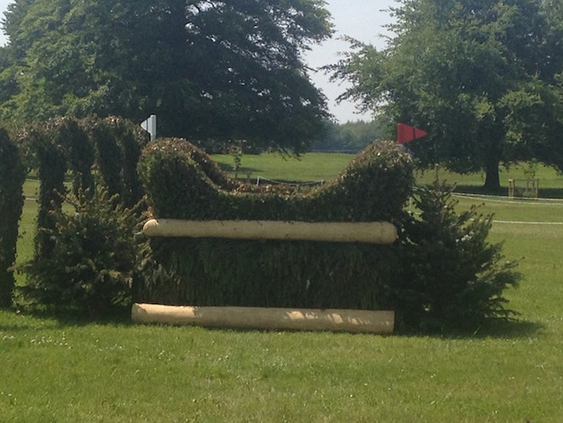 Bramham2015CCI4c_alt