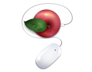Illustration of apple with leaf at stem and computer mouse connected by USB
