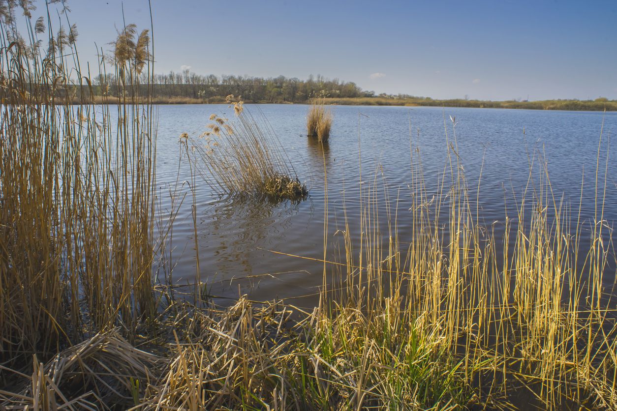 Man drowned in Florida pond as teens watched