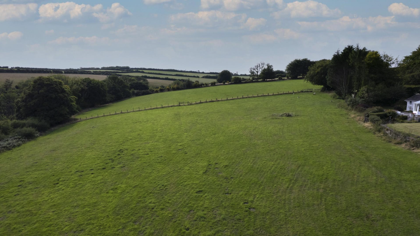 Two large fenced paddocks