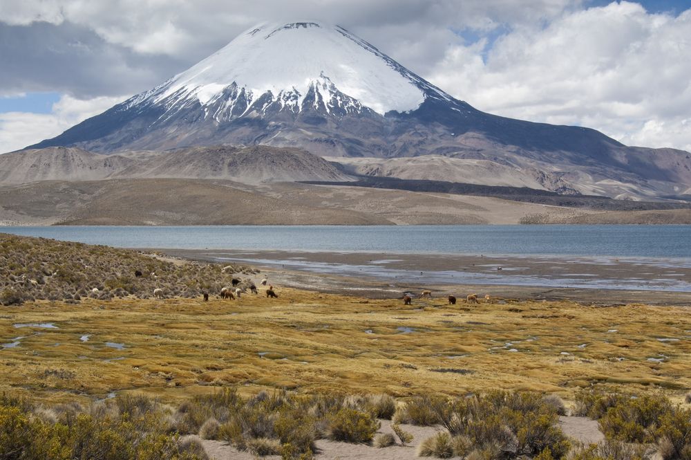 andes mountains, age, geology, chungar lake