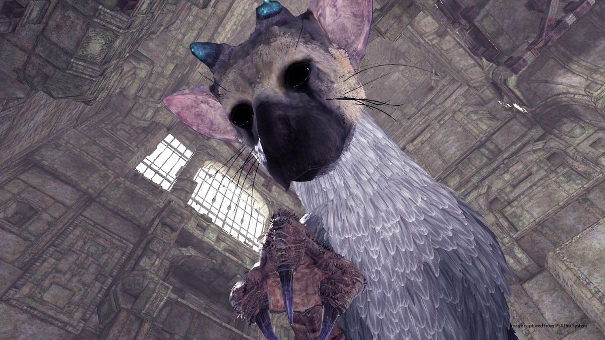 Shadow Of Colossus Has A Last Guardian Easter Egg Here S How To