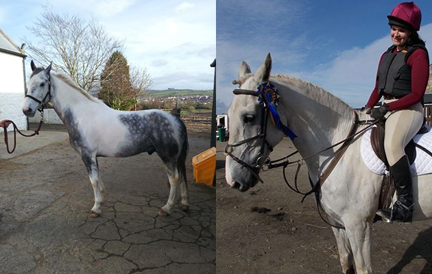 &ldquo;This is my horse Gadget when he was six, and now where he&rsquo;s 10. He&rsquo;s blue and white, but most people just think he&rsquo;s grey now, except when he&rsquo;s been clipped or gets wet and then you see the different skin colours&rdquo; &mdash; Eleanor Neil