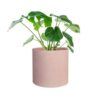 Round pink plant pot