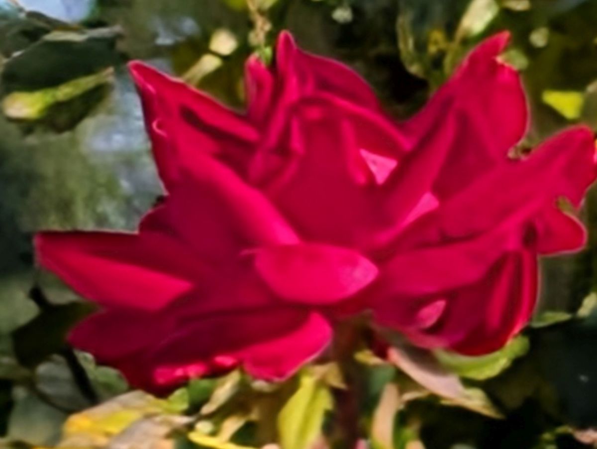 Google Pixel 10 Pro XL Pro Res Zoom sample.