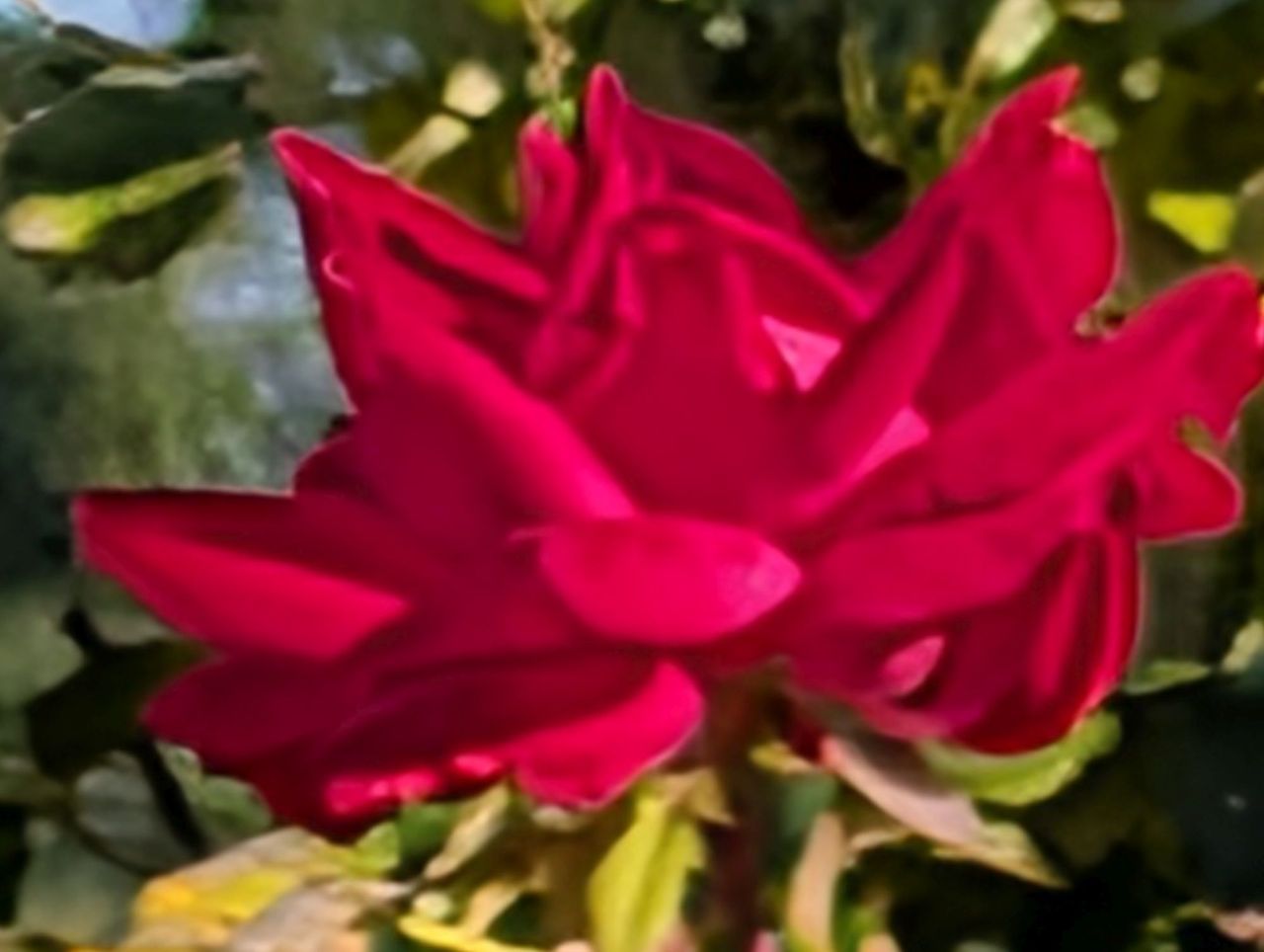 Google Pixel 10 Pro XL Pro Res Zoom sample.