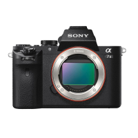 Sony a7 II with 28-70mm lens: was