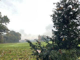 iPhone 12 Pro Max camera test