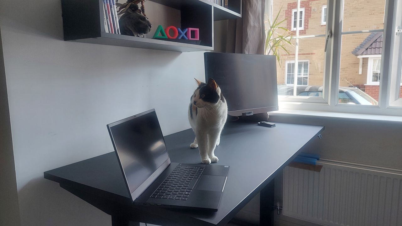 Herman Miller X Logitech G Nevi desk review
