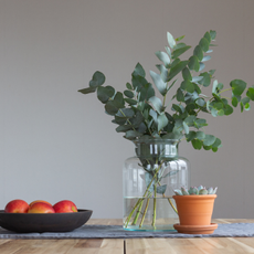 vase of eucalyptus and fruit bowl with apples on kitchen table