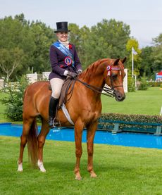 2024 RIHS pure-bred ridden Arabian championship