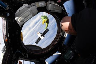 This delivery isn't Santa's, but it probably felt like it. A SpaceX Dragon spacecraft (background) is berthed with the International Space Station in this picture taken Dec. 8. In the foreground is a dragon stuffed animal from NASA astronaut Anne McClain's young son. 