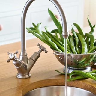 kitchen sink with tap and hyacinth beans