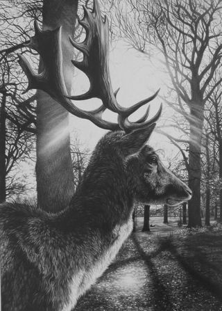 Richmond Fallow by Julie Rhodes