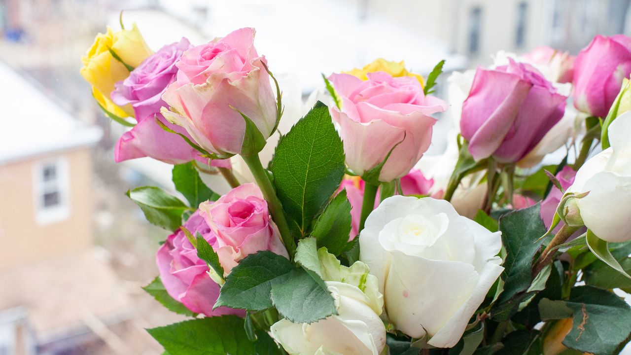 Valentine's Day flowers