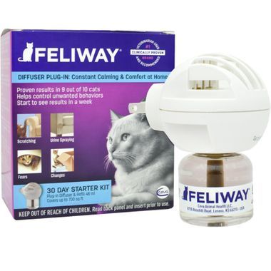 cat pheromone spray petsmart