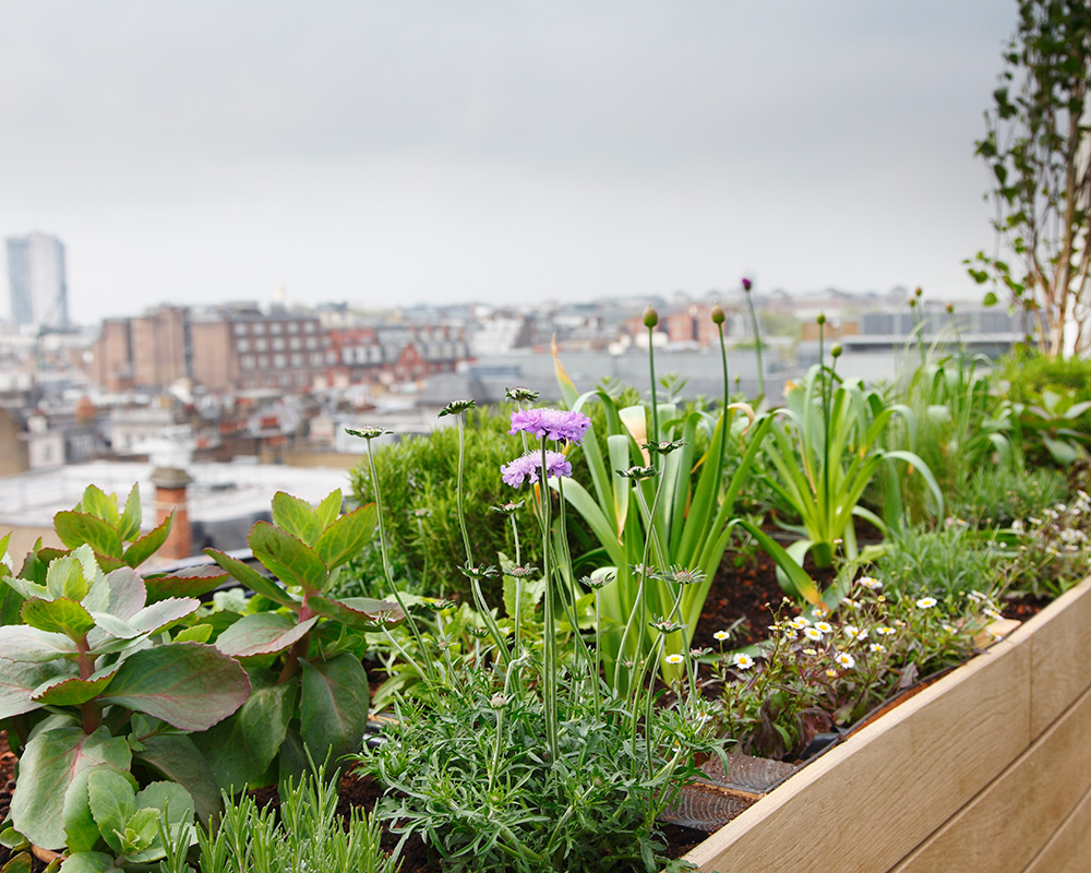 How to turn a small garden into a self-sufficient space | Homes & Gardens