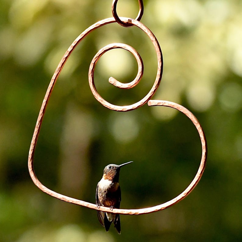 Shape of My Heart Handmade Copper Hummingbird Perch 8x8 Inches With Copper S Hook