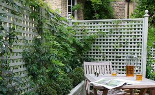 A backyard seating area with trellis and climbing plants, with a table and chair set with a jug of drink on it