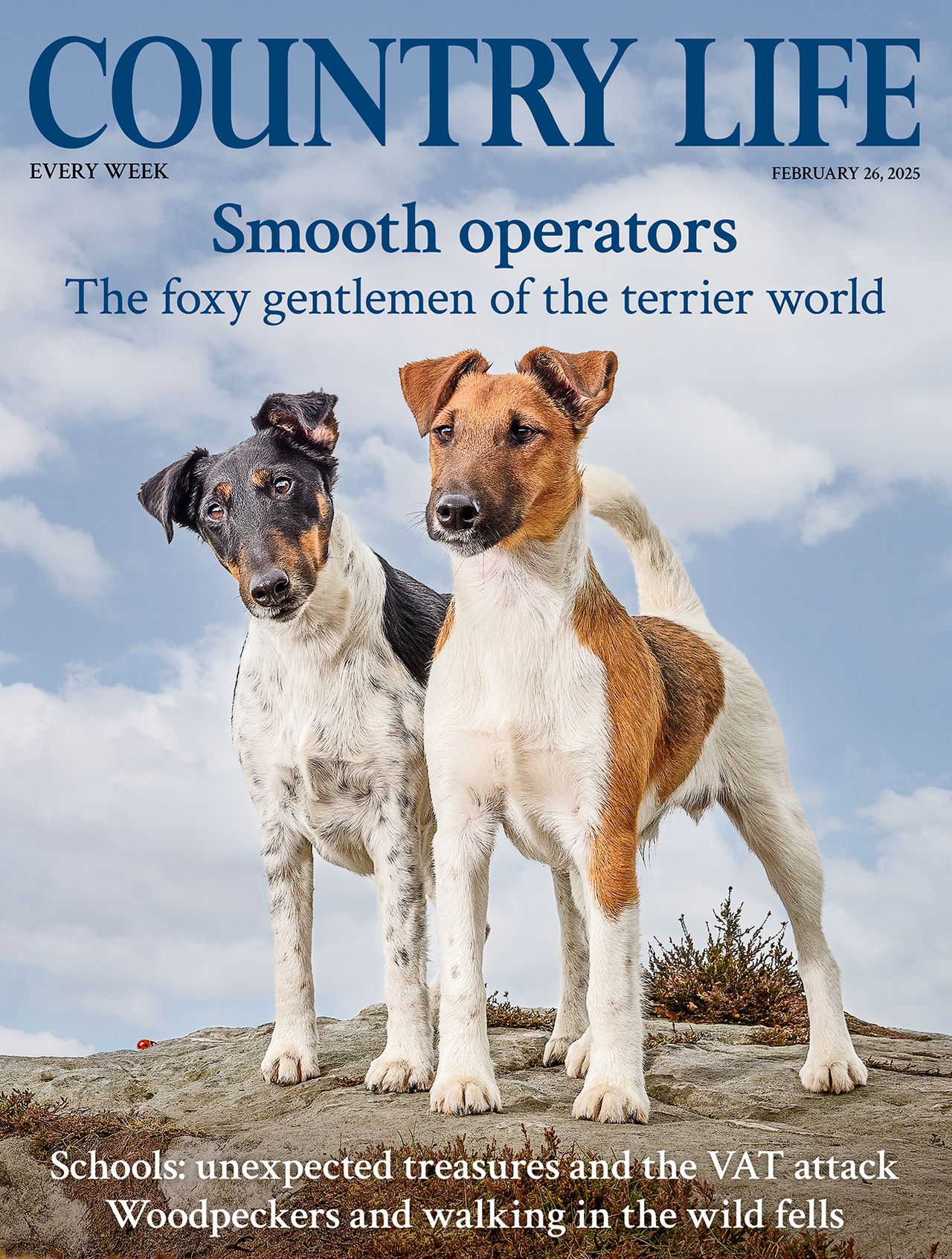 Dogs on cover of Country Life 26 February 2025 